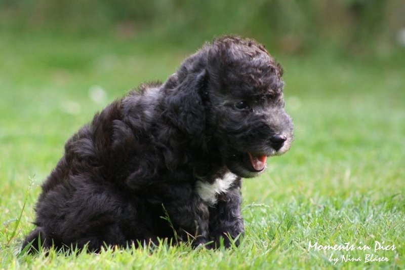 Arc-en-ciel Antares 2009-06-17 (25).JPG